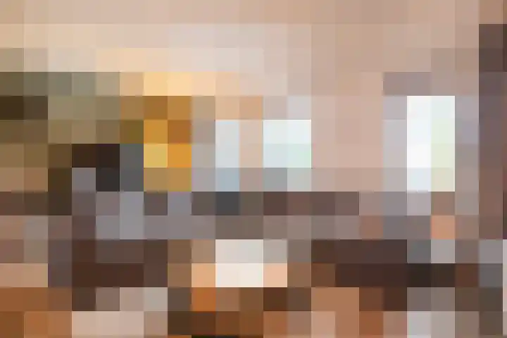 Brederode 51 Duiven thumbnail 8