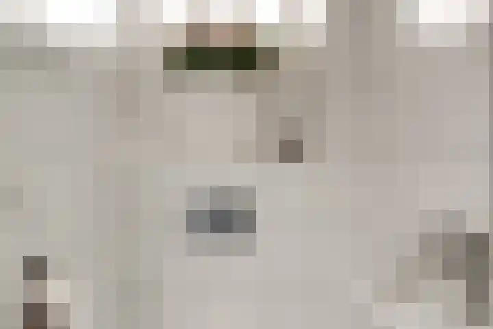 Brederode 58 Duiven thumbnail 10