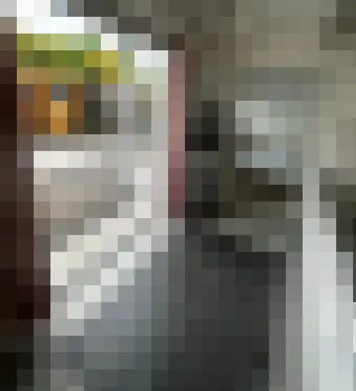 Brederode 58 Duiven thumbnail 14