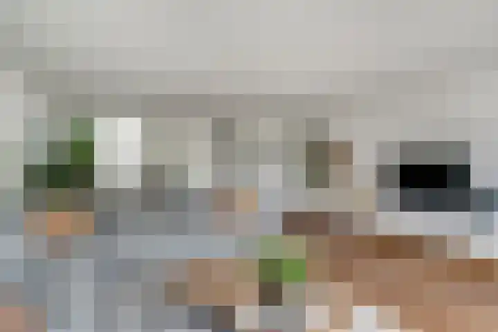 Brederode 58 Duiven thumbnail 15