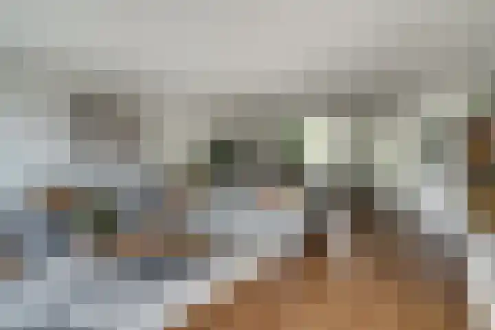 Brederode 58 Duiven thumbnail 16