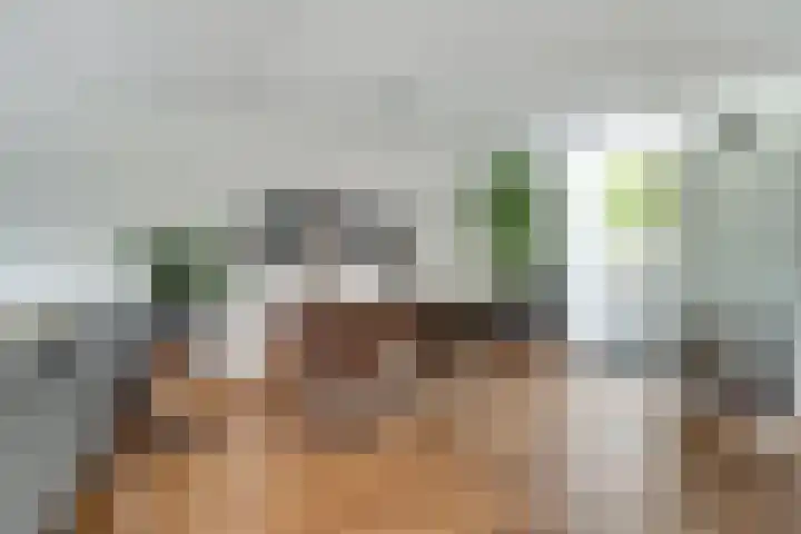 Brederode 58 Duiven thumbnail 17