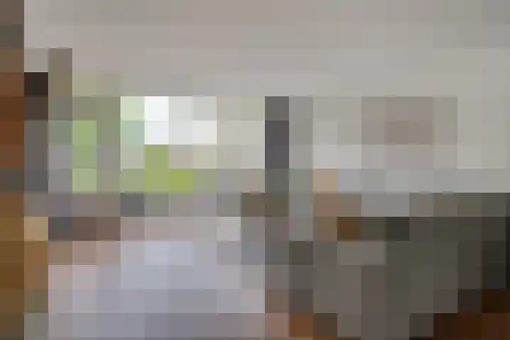 Brederode 58 Duiven thumbnail 18