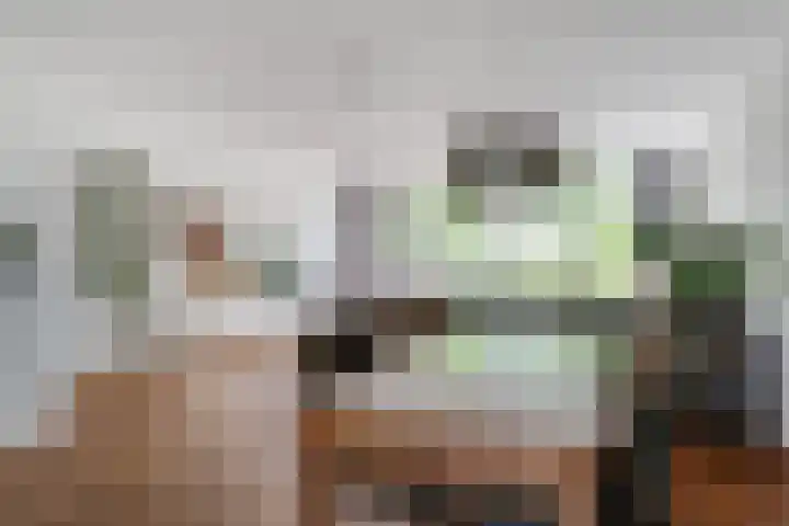 Brederode 58 Duiven foto 2