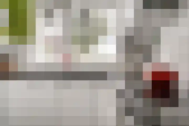 Brederode 58 Duiven thumbnail 21