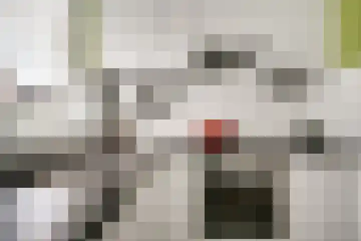 Brederode 58 Duiven thumbnail 22