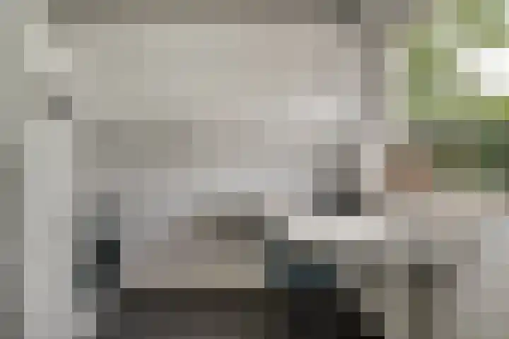 Brederode 58 Duiven thumbnail 23