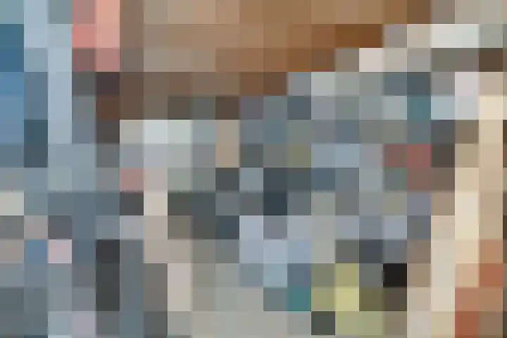 Brederode 58 Duiven thumbnail 24