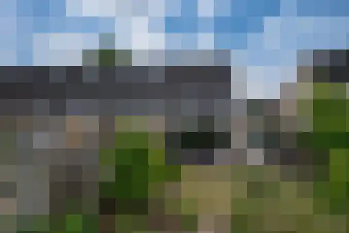 Brederode 58 Duiven thumbnail 25