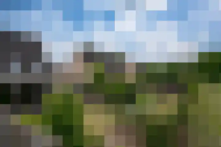 Brederode 58 Duiven thumbnail 26