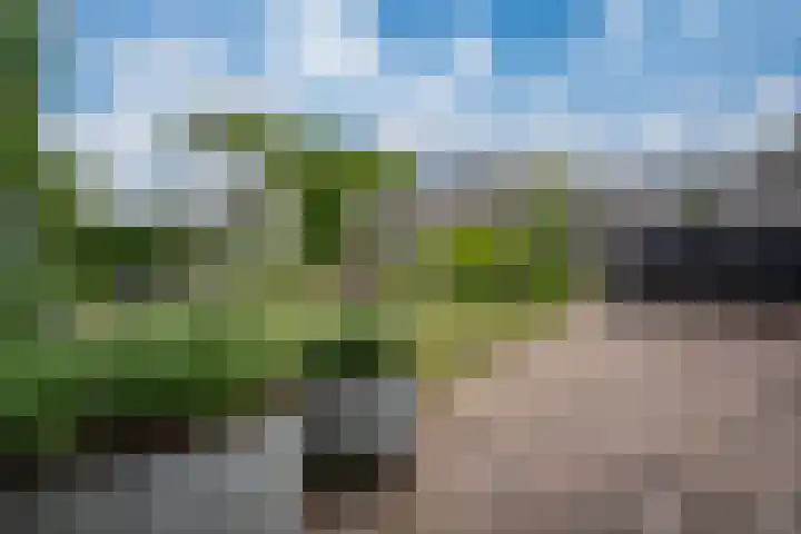 Brederode 58 Duiven thumbnail 27