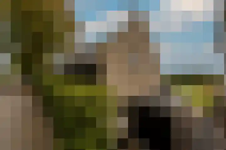 Brederode 58 Duiven thumbnail 28