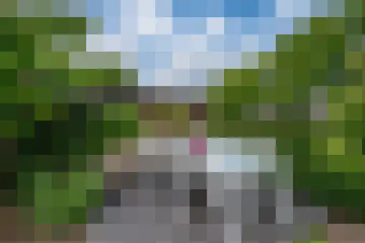 Brederode 58 Duiven thumbnail 29