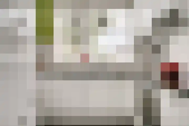 Brederode 58 Duiven foto 3