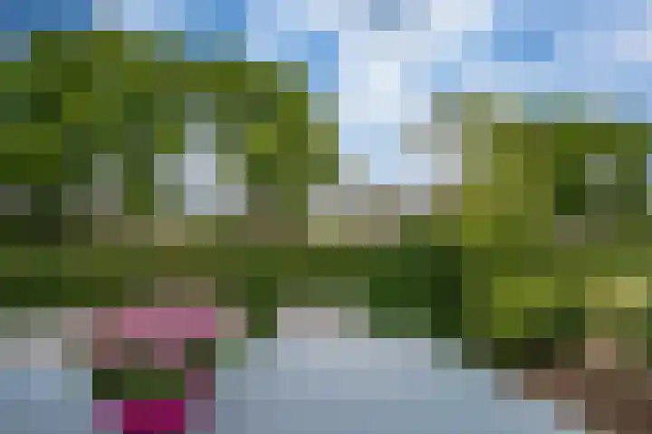 Brederode 58 Duiven thumbnail 30