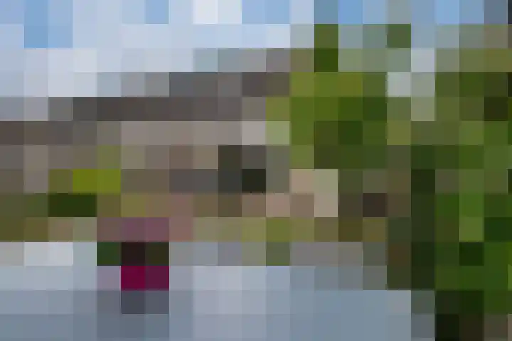 Brederode 58 Duiven thumbnail 31