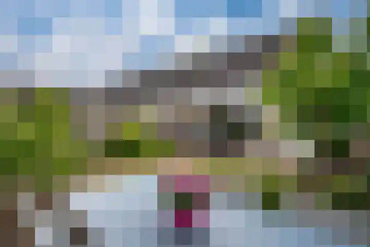 Brederode 58 Duiven thumbnail 32