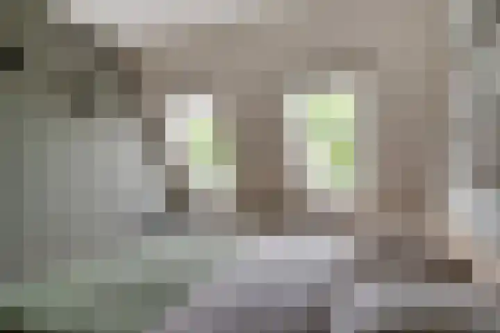 Brederode 58 Duiven thumbnail 36