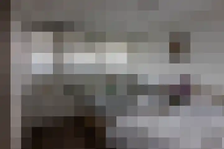 Brederode 58 Duiven thumbnail 37