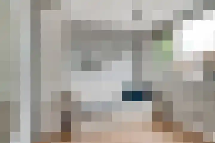 Brederode 58 Duiven thumbnail 38