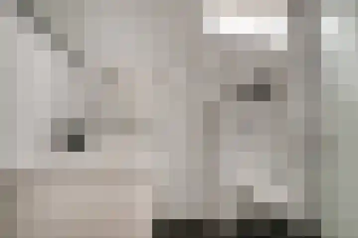 Brederode 58 Duiven thumbnail 4