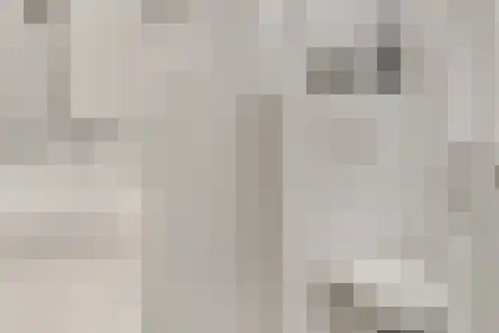 Brederode 58 Duiven thumbnail 40