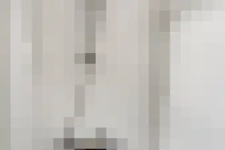 Brederode 58 Duiven thumbnail 41