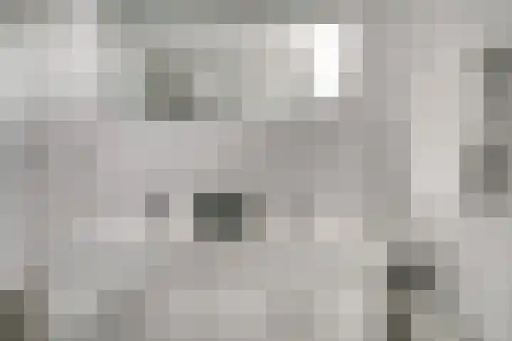 Brederode 58 Duiven thumbnail 42