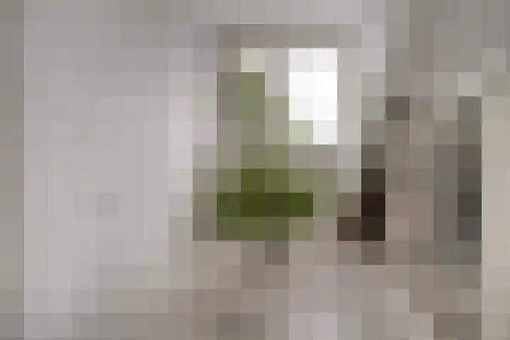 Brederode 58 Duiven thumbnail 44