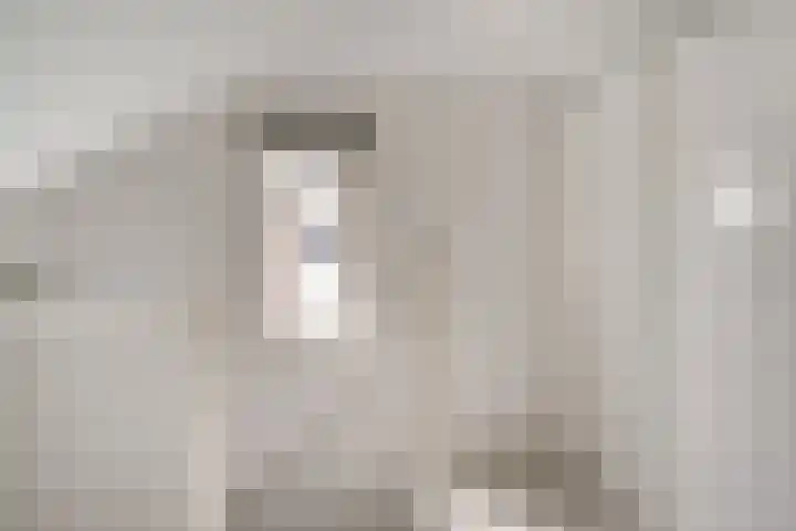 Brederode 58 Duiven thumbnail 46