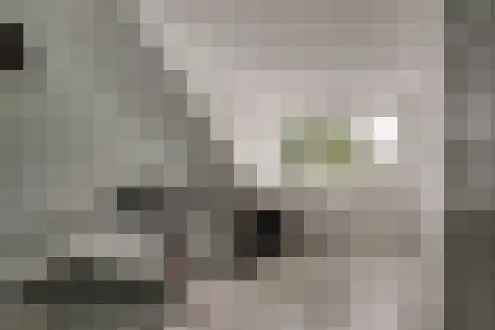 Brederode 58 Duiven thumbnail 48