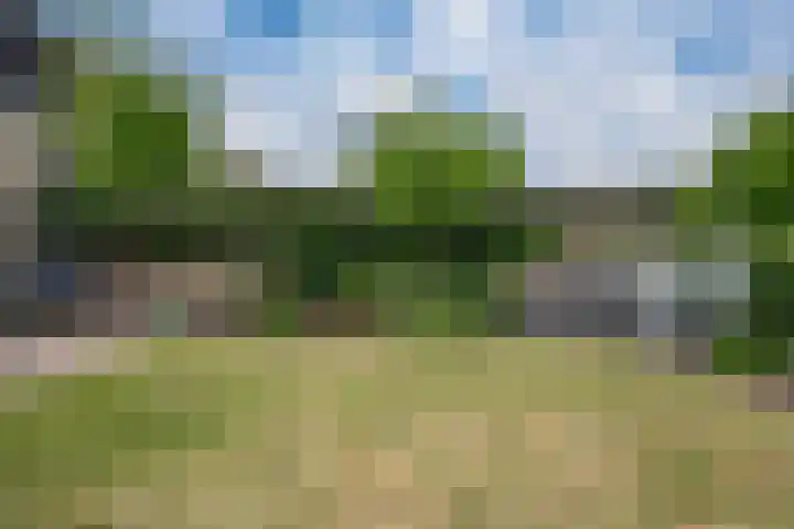 Brederode 58 Duiven thumbnail 49