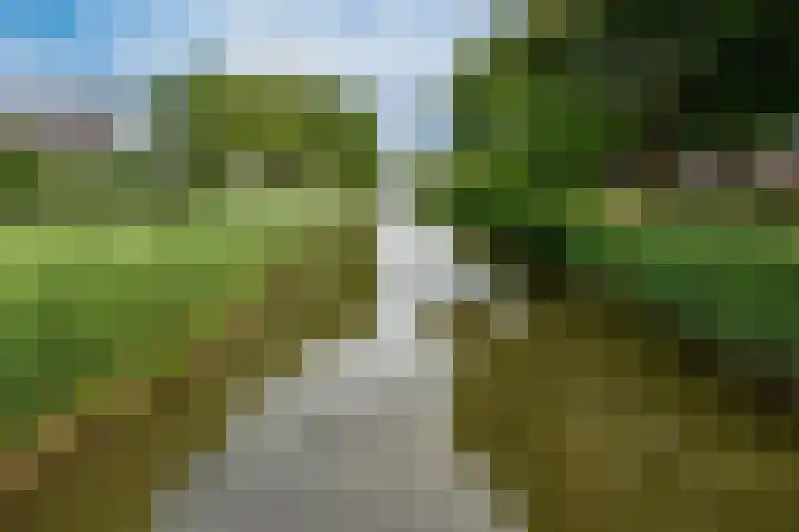 Brederode 58 Duiven thumbnail 50