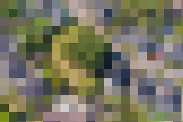 Brederode 58 Duiven thumbnail 51