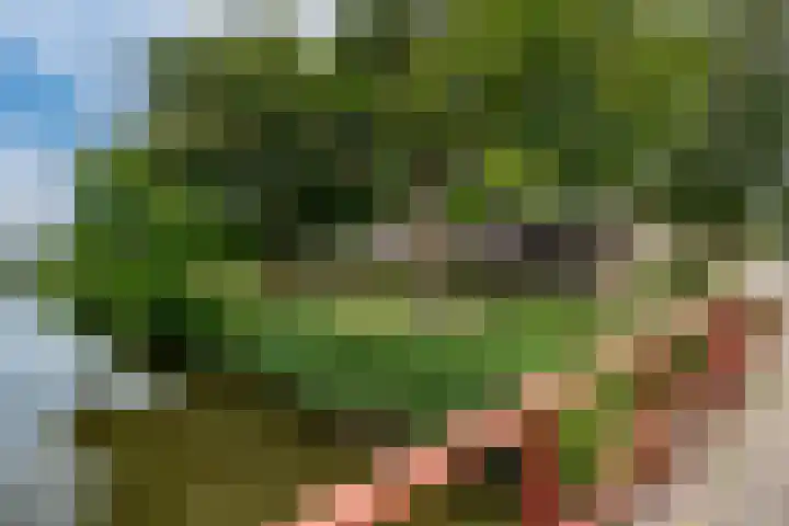 Brederode 58 Duiven thumbnail 51