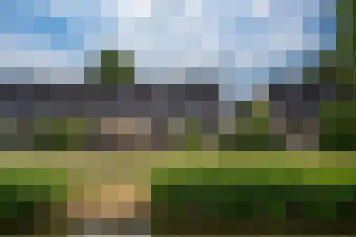 Brederode 58 Duiven thumbnail 52