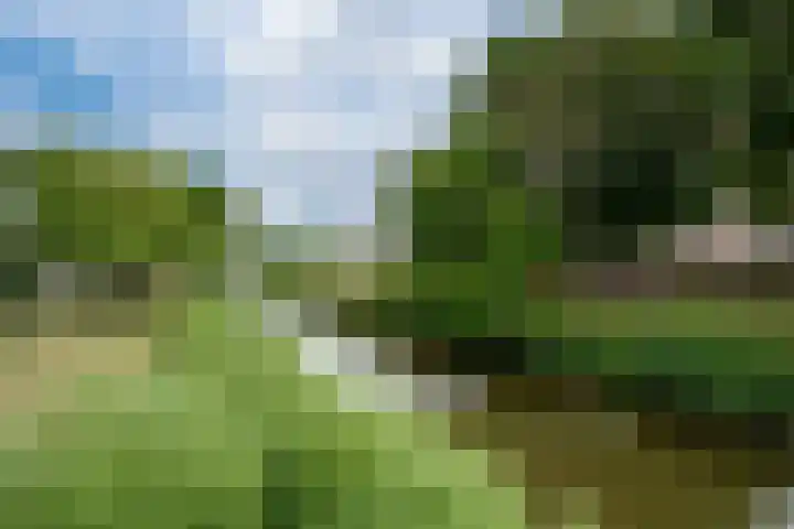 Brederode 58 Duiven thumbnail 53