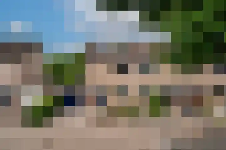 Brederode 58 Duiven thumbnail 54