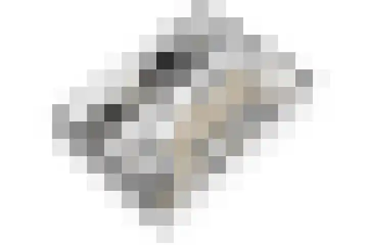 Brederode 58 Duiven thumbnail 56