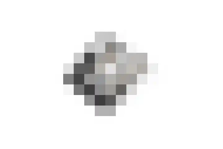 Brederode 58 Duiven thumbnail 60