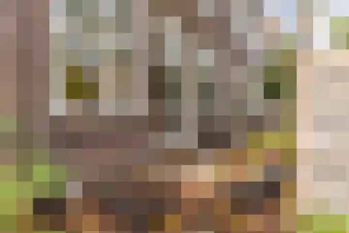 Brederode 88 in Lelystad