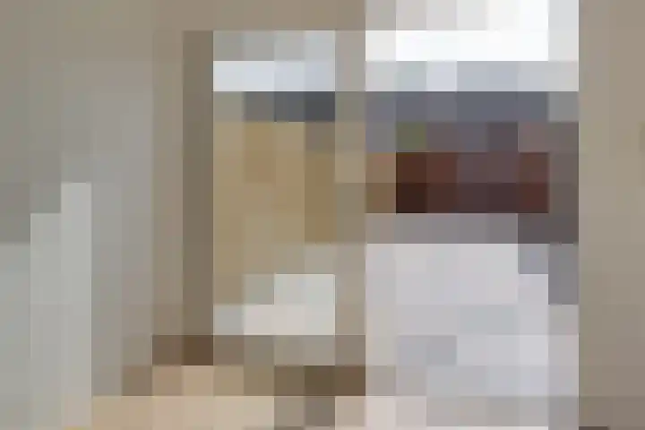Brederodeplein 7 Vianen thumbnail 13