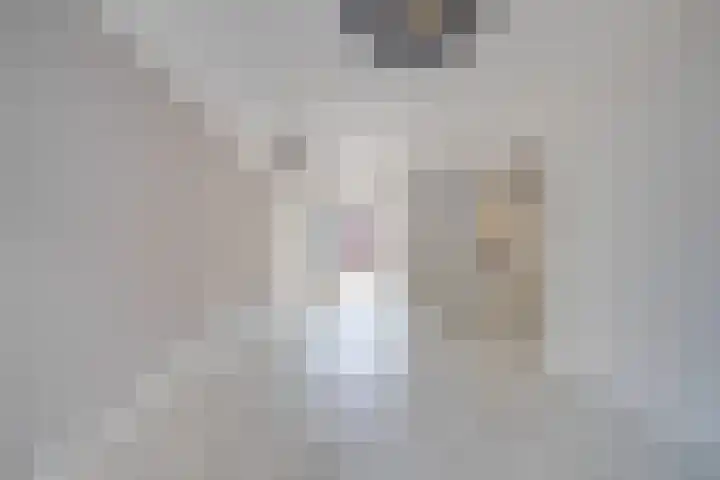 Brederodeplein 7 Vianen thumbnail 9