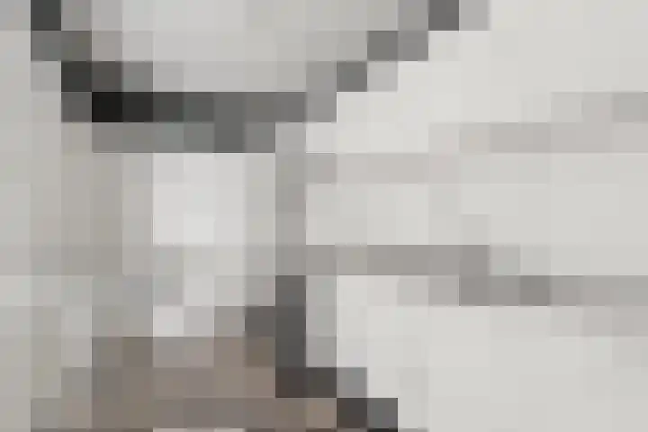 Brederoplein 3 Utrecht thumbnail 23