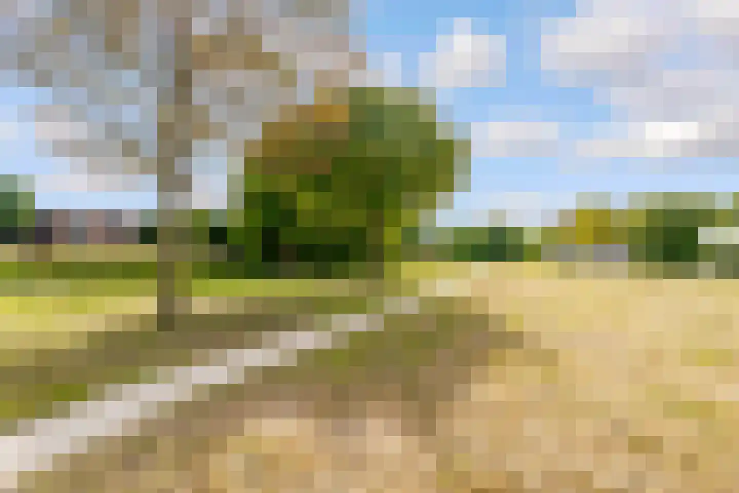 Brederostraat 34 Almere thumbnail 57