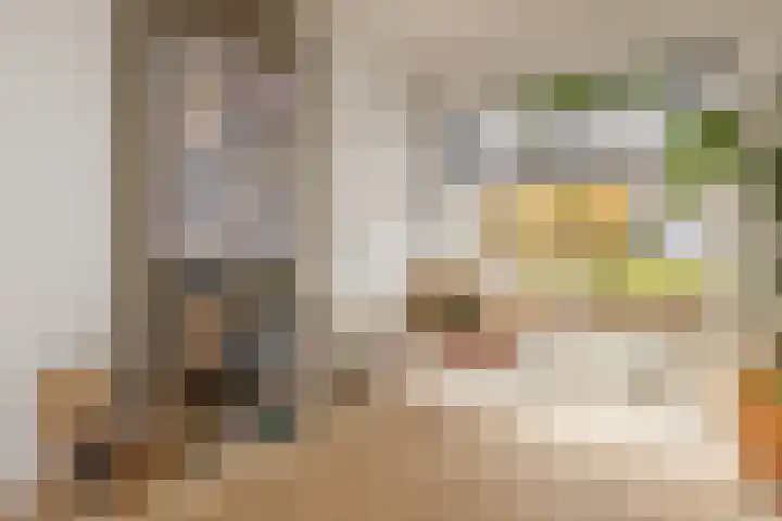 Brederowende 4 Hillegom thumbnail 13
