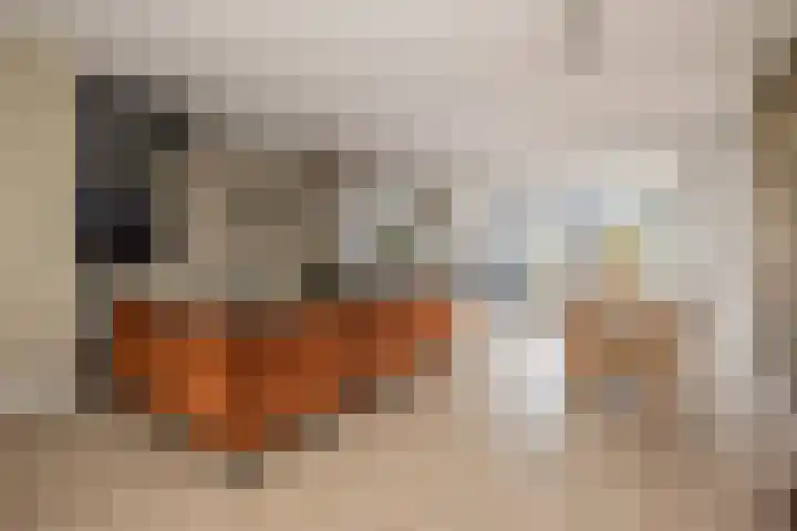 Brederowende 4 Hillegom foto 2