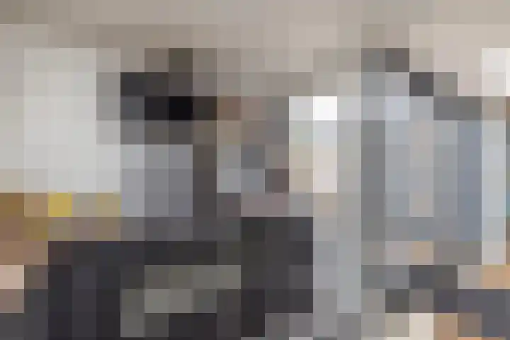 Brederowende 4 Hillegom thumbnail 21