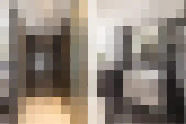 Brederowende 4 Hillegom thumbnail 24