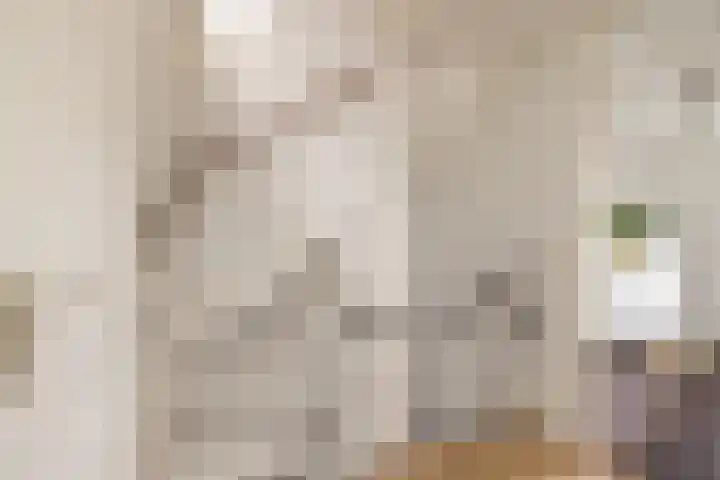 Brederowende 4 Hillegom thumbnail 30